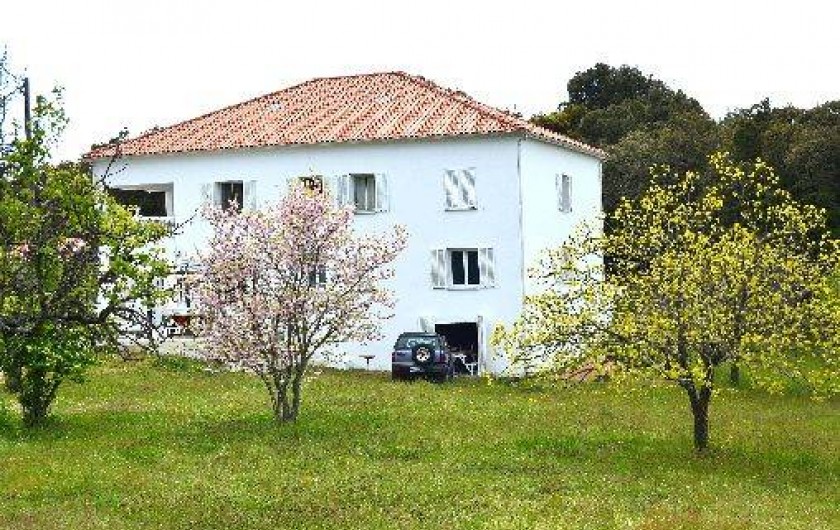 Location de vacances - Villa à Zonza