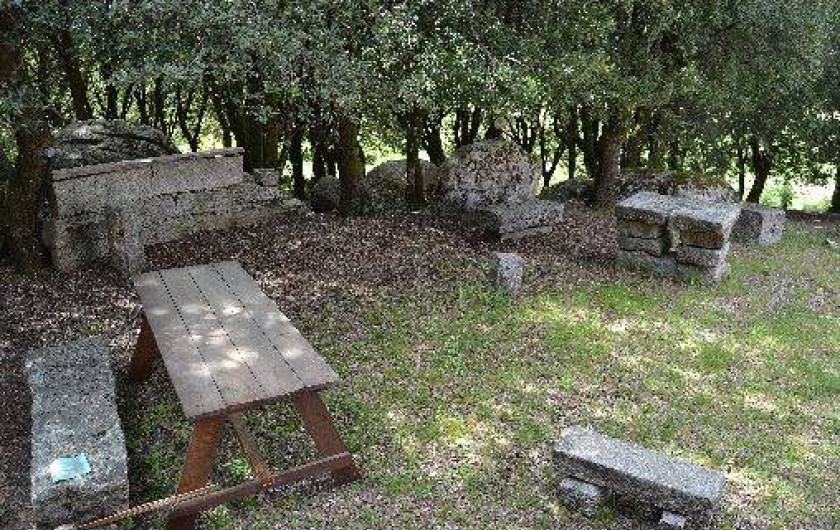 Location de vacances - Villa à Zonza