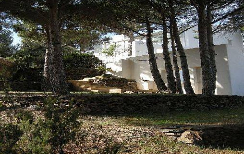 Location de vacances - Appartement à Banyuls-sur-Mer - le jardin