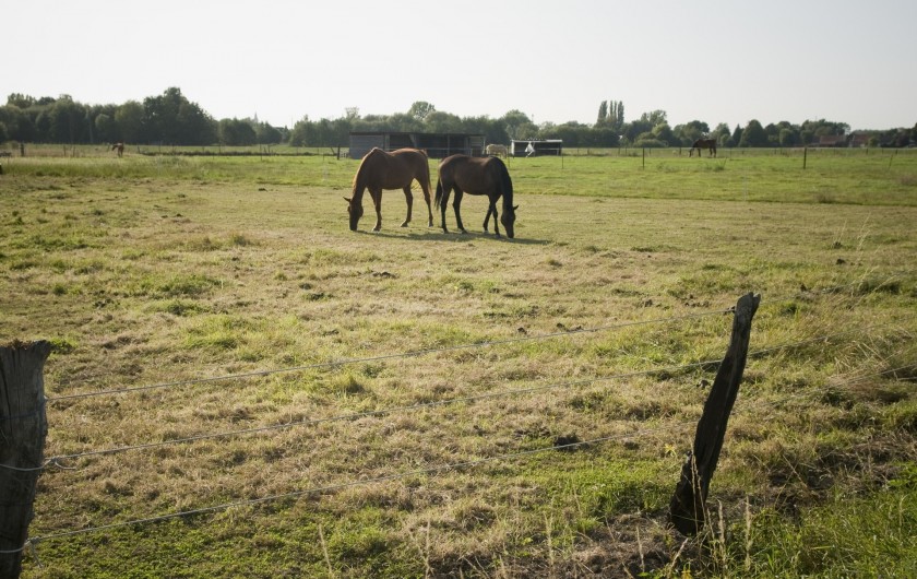 Location de vacances - Appartement à Saint-Amand-les-Eaux
