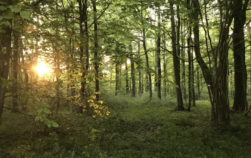 Location de vacances - Appartement à Saint-Amand-les-Eaux