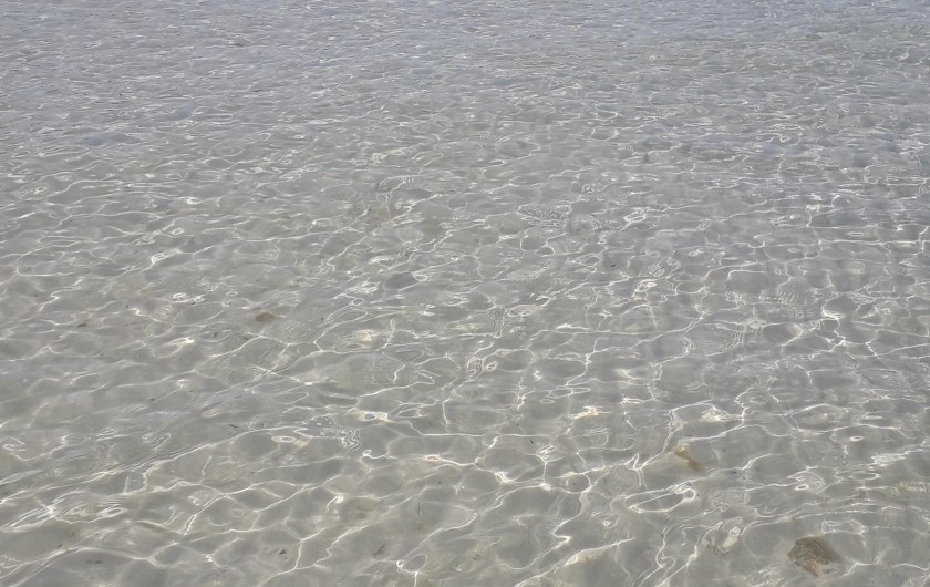 Location de vacances - Villa à Île-Tudy - Eau paradisiaque