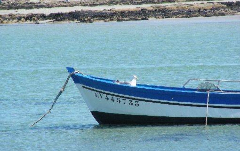 Location de vacances - Villa à Île-Tudy - Goeland au repos