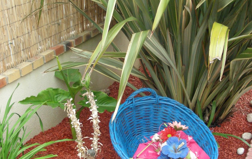 Location de vacances - Villa à Île-Tudy - A travers le grand rocher en face de la villa !!!MAGIQUE