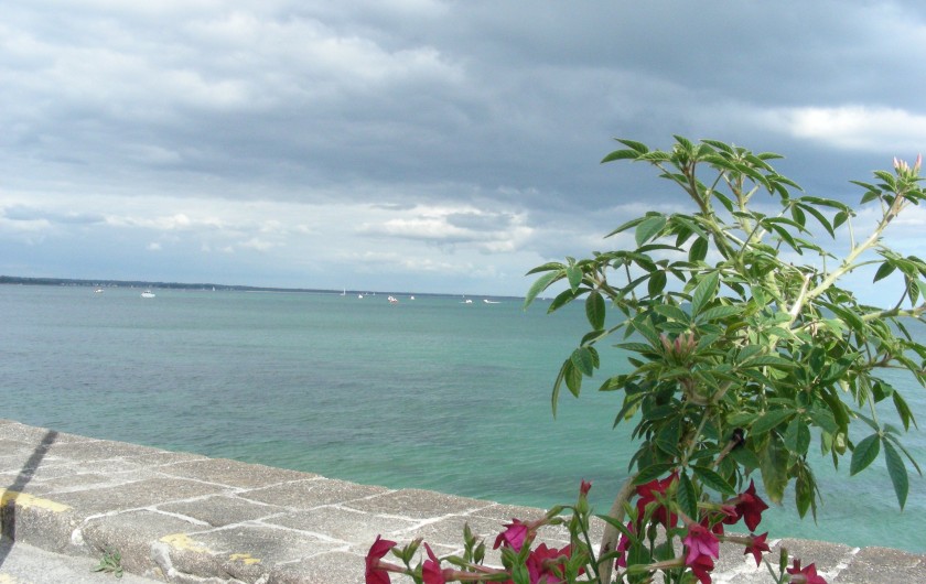 Location de vacances - Villa à Île-Tudy - Eau translucide