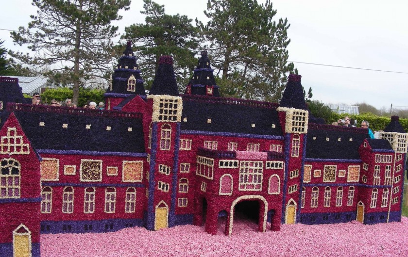 Location de vacances - Villa à Île-Tudy - Un palais tout en.... jacinthes Sublime pour la beauté des yeux et l'odorat