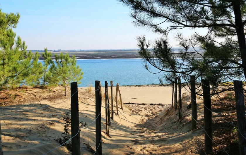 Location de vacances - Maison - Villa à Sainte-Marie-de-Ré - la plage....!!!!