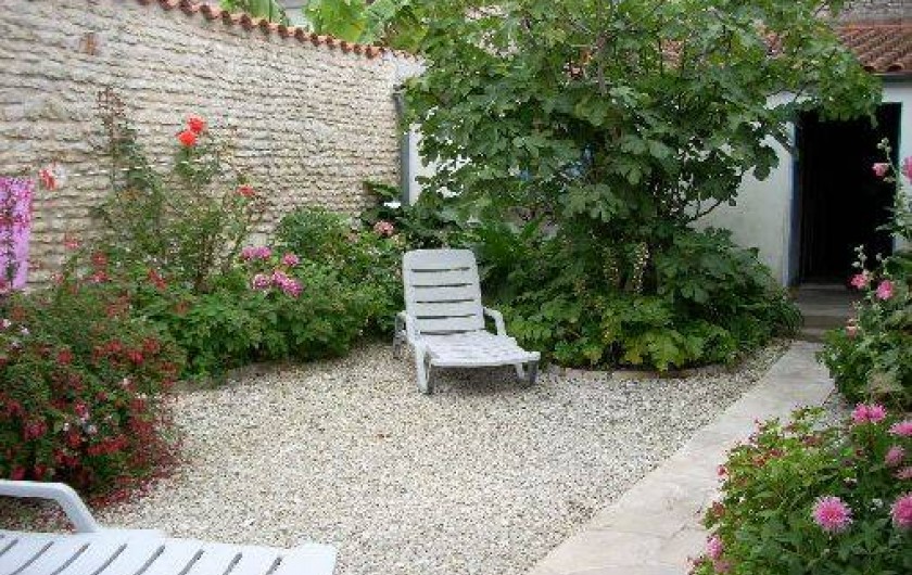 Location de vacances - Maison - Villa à Dolus-d'Oléron - jardin qui est le centre de la maison: rejoint les 2 parties habitées et le chai