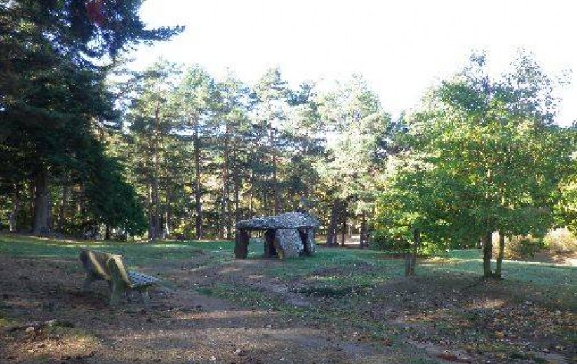 Location de vacances - Gîte à Saint-Nectaire - Le dolmen du parc