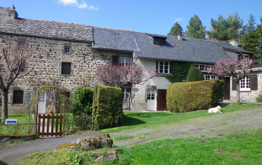 Location de vacances - Gîte à Saint-Nectaire