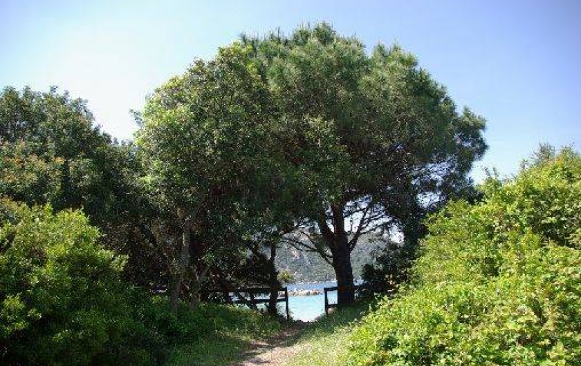 Location de vacances - Villa à Porto-Vecchio - arrivée devant la plage