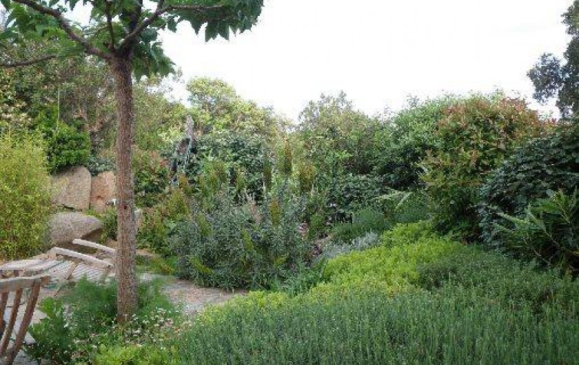 Location de vacances - Villa à Porto-Vecchio - Jardin/terrasse