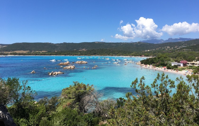 Location de vacances - Villa à Porto-Vecchio - plage devant la maison