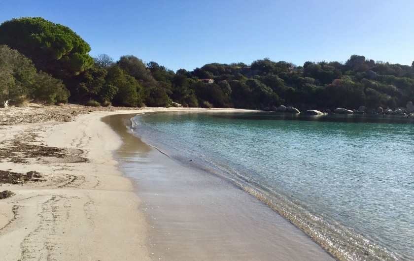 Location de vacances - Villa à Porto-Vecchio - plage devant la maison