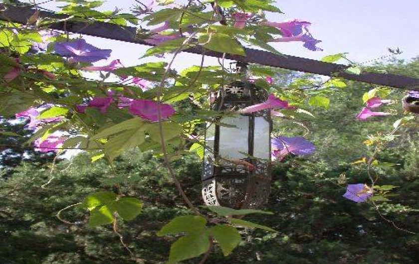 Location de vacances - Appartement à Grimaud