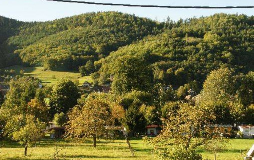 Location de vacances - Gîte à Luttenbach-prés-Munster