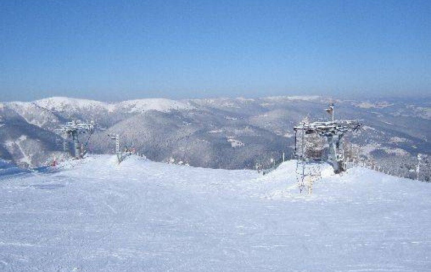 Location de vacances - Gîte à Luttenbach-prés-Munster