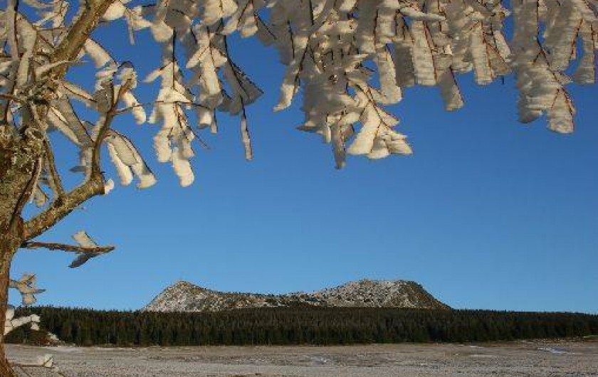 Location de vacances - Gîte à Freycenet-la-Tour