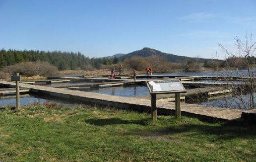 Location de vacances - Gîte à Freycenet-la-Tour
