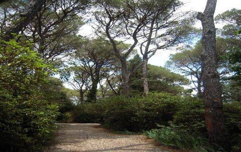 Location de vacances - Gîte à Lagamas