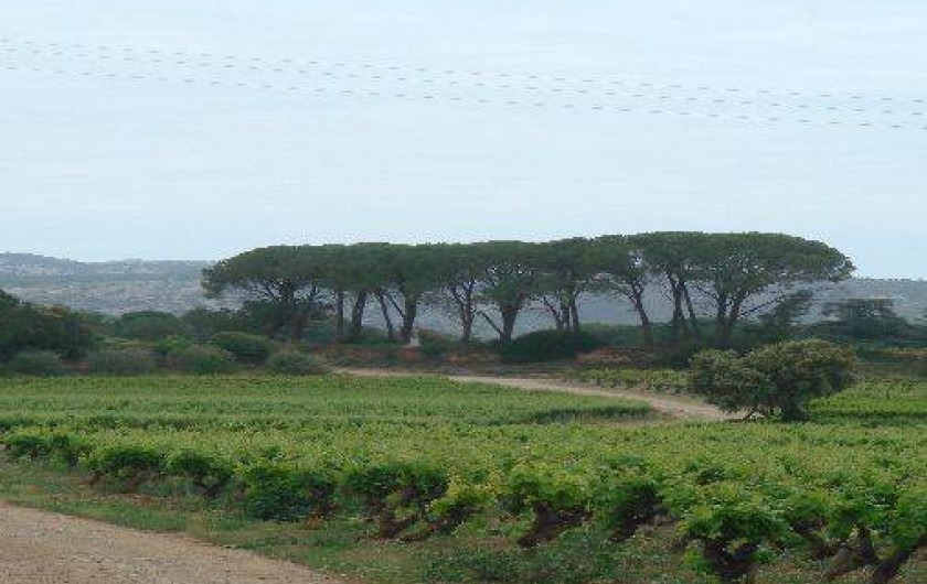 Location de vacances - Gîte à Lagamas