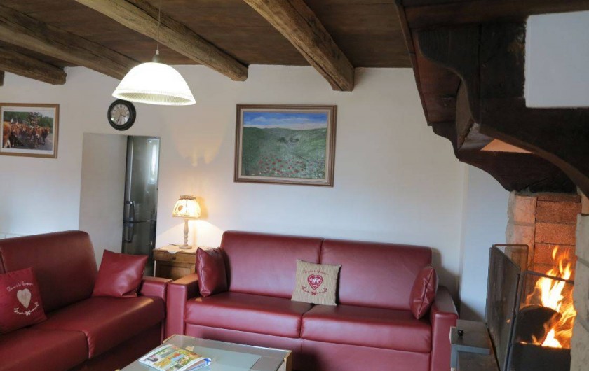 Location de vacances - Gîte à Saint-Pierre-de-Nogaret - Salon avec maxi-canapés (4 places adultes chacun) et cheminée