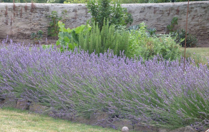 Location de vacances - Gîte à La Selve