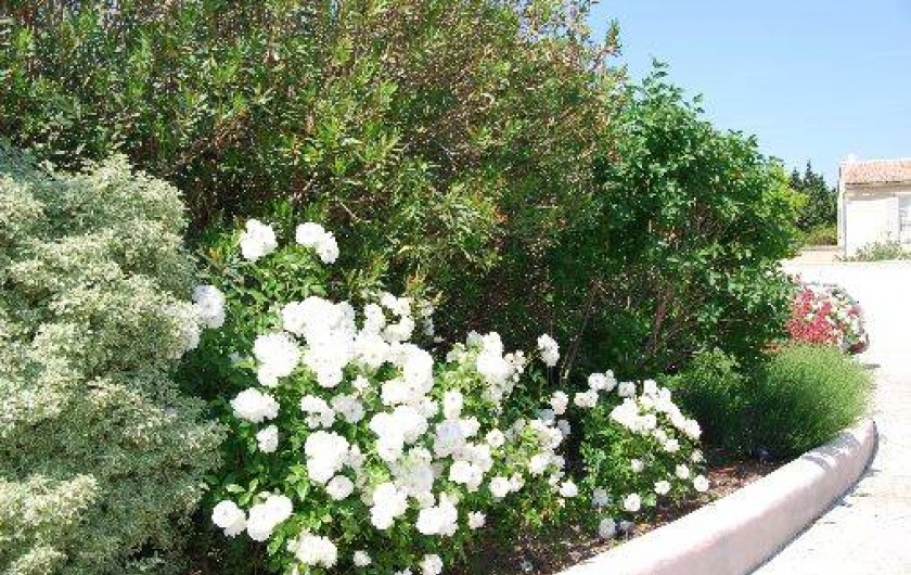 Location de vacances - Villa à Eyragues