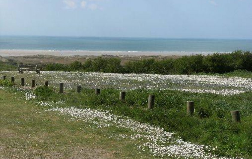 Location de vacances - Gîte à Barneville-Carteret