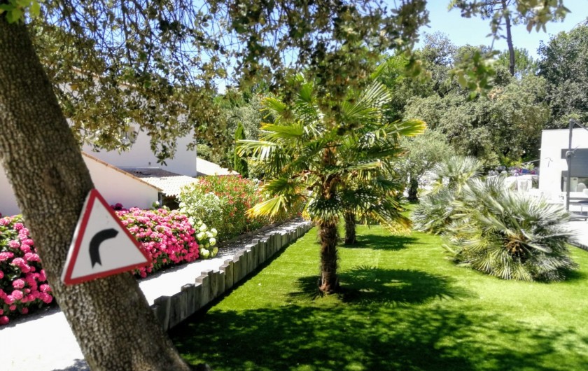 Location de vacances - Villa à Saint-Palais-sur-Mer - le jardin coloré, ses palmiers sa pelouse verdoyante