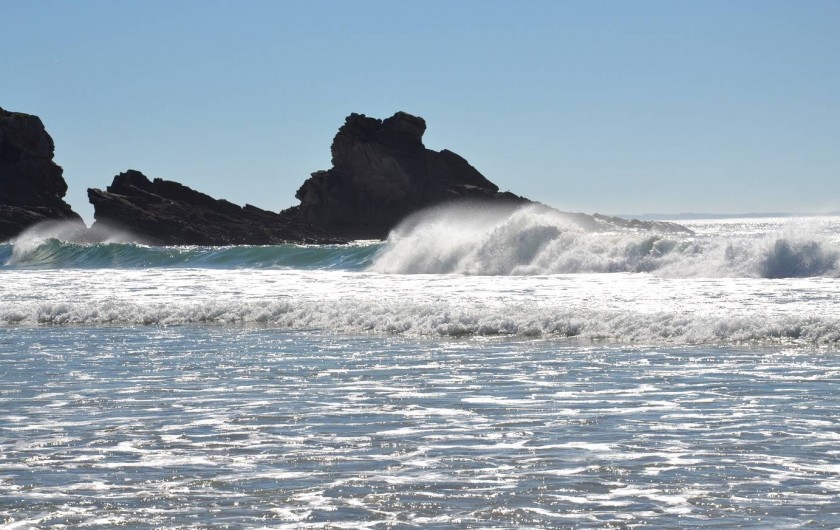 Location de vacances - Studio à Quiberon
