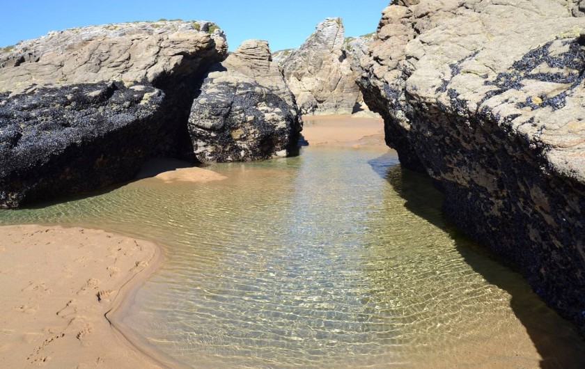Location de vacances - Studio à Quiberon