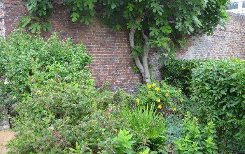 Location de vacances - Appartement à Berck