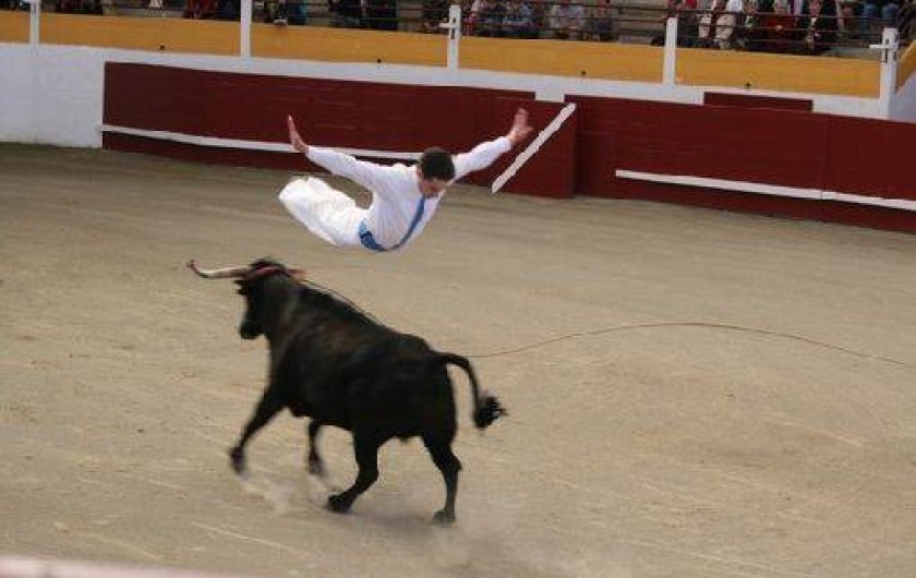 Location de vacances - Chambre d'hôtes à Habas - Course de VACHES landaises  sans mise à mort : saut de l'ange