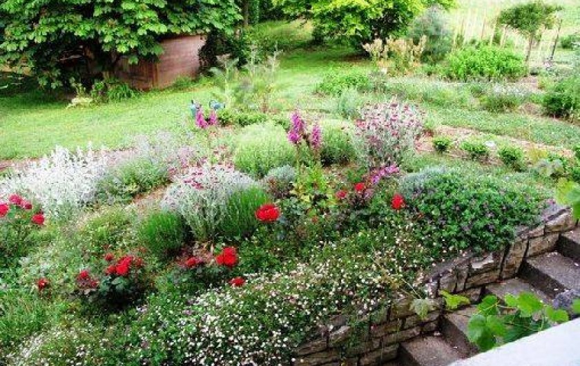 Location de vacances - Chambre d'hôtes à Habas - Jardin d'aromatiques
