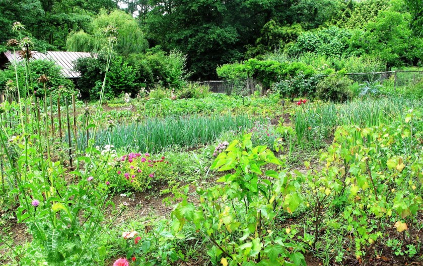 Location de vacances - Chambre d'hôtes à Habas - Le potager qui démarre au printemps sans traitements, nous pouvons échanger