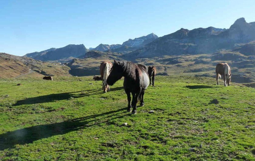 Location de vacances - Chambre d'hôtes à Habas - Promenade au Pays basque, découverte des pottocks.