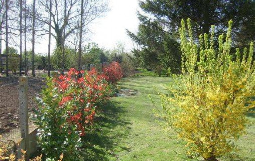 Location de vacances - Gîte à Quercamps