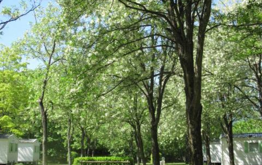 Location de vacances - Camping à Mercus-Garrabet