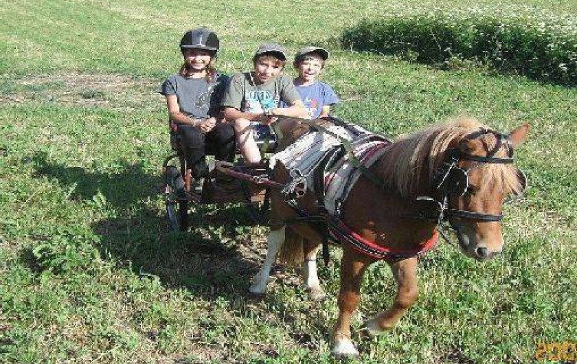 Location de vacances - Gîte à Saint-Léger-les-Mélèzes