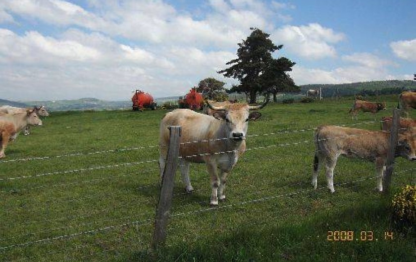 Location de vacances - Gîte à Saint-Léger-les-Mélèzes