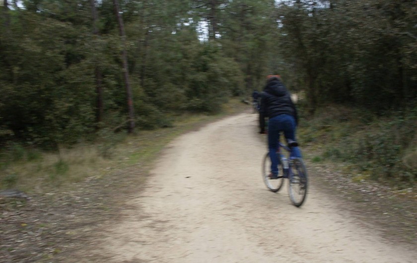 Location de vacances - Camping à Saint-Jean-de-Monts - forêt à proximité nombreuses pistes cyclables ,pédestres e équestres