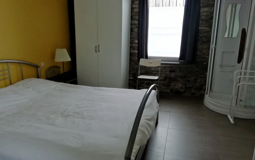 Location de vacances - Gîte à Paliseul - chambre avec lit double, douche et lavabo au rez-de-chausséé