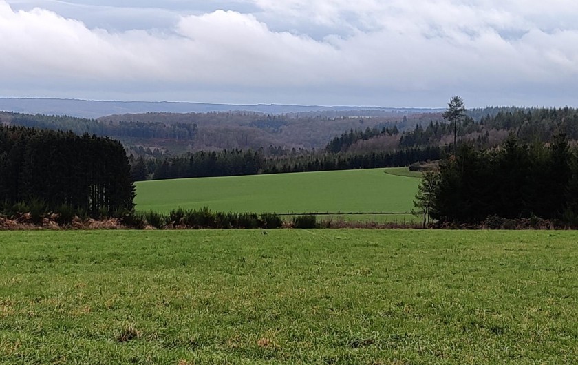 Location de vacances - Gîte à Paliseul - Fays-Les-Veneurs
