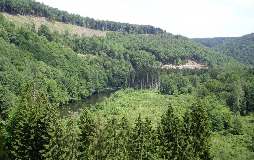 Location de vacances - Gîte à Paliseul - Les environs