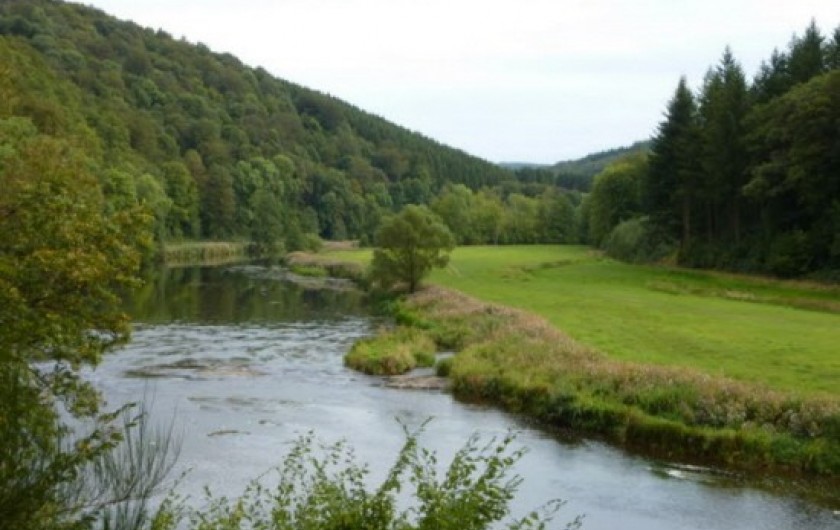 Location de vacances - Gîte à Paliseul - La Semois