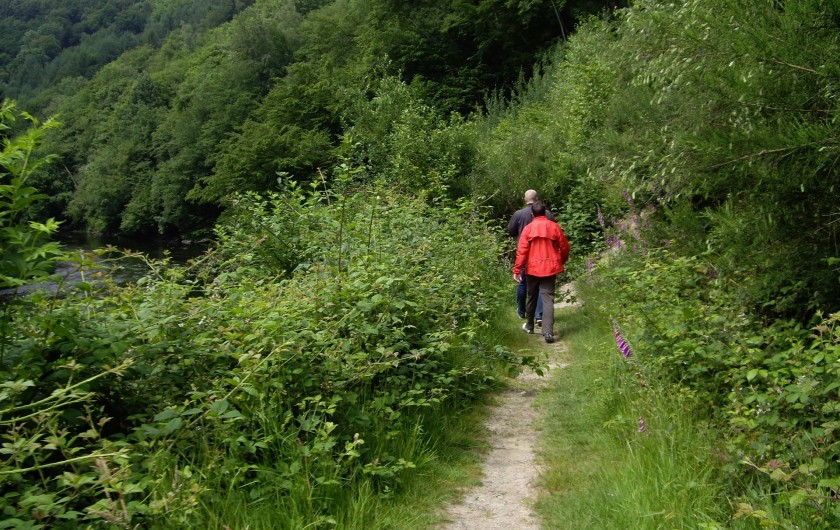 Location de vacances - Gîte à Paliseul - Les environs