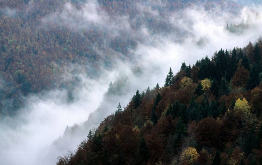 Location de vacances - Appartement à Hauterive-la-Fresse