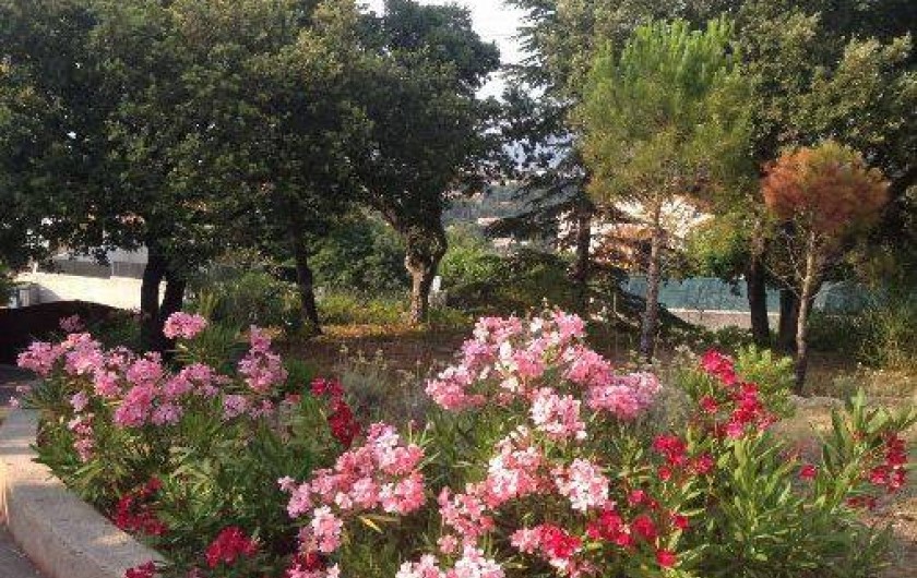 Location de vacances - Villa à Saint-Raphaël