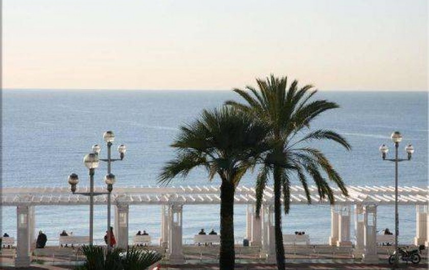 Location de vacances - Villa à Saint-Raphaël